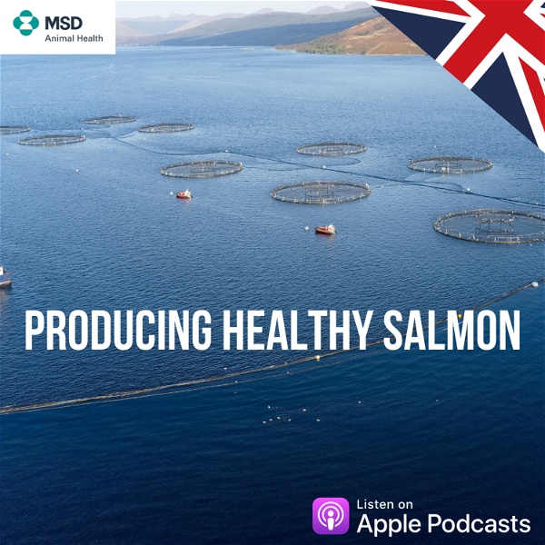 Artwork for Producing Healthy Salmon