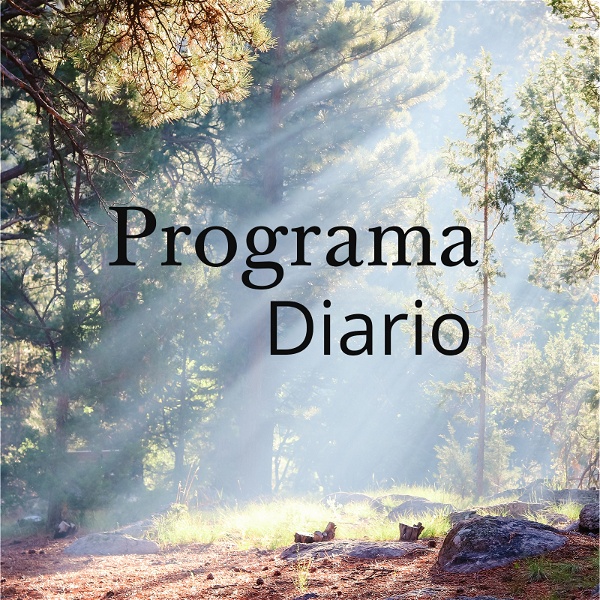 Artwork for Programa Diario