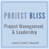 Project Bliss - Project Management and Leadership