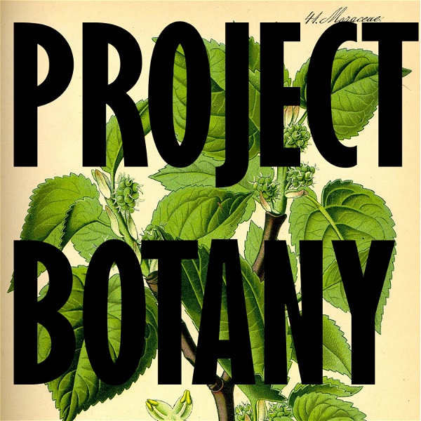 Artwork for Project Botany