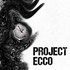 Project ECCO