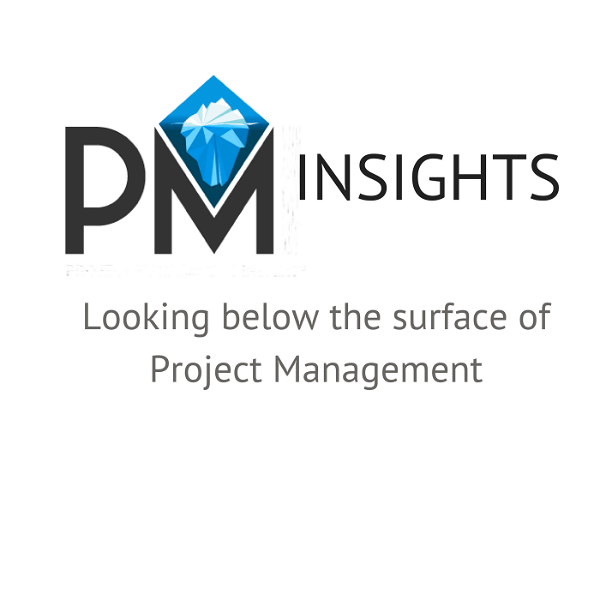 Artwork for Project Management Insights