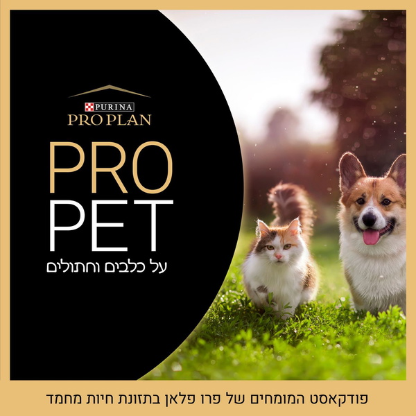 Artwork for PROPET