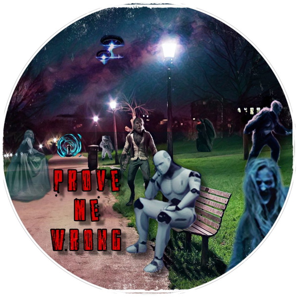 Artwork for Prove me wrong