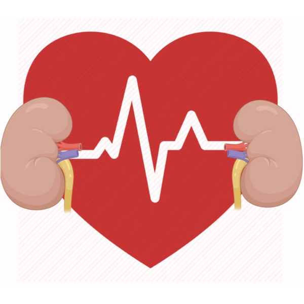 Artwork for Pump the nephron