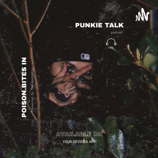 Artwork for Punkie Talk