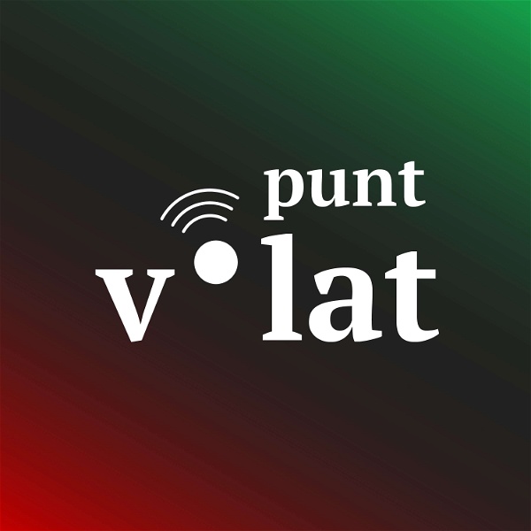 Artwork for Punt volat