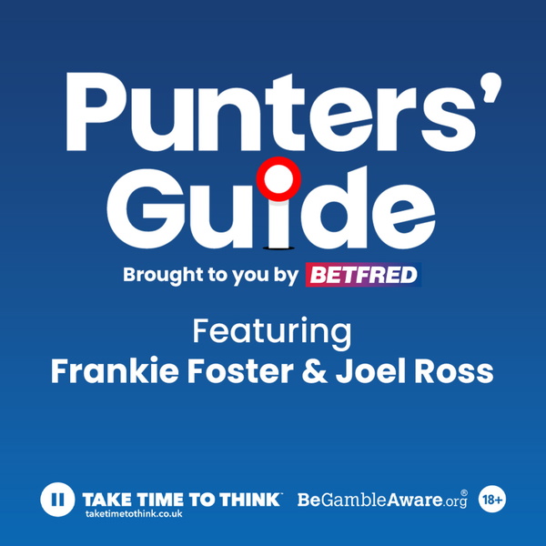 Artwork for Punters' Guide