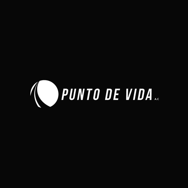 Artwork for Punto de Vida