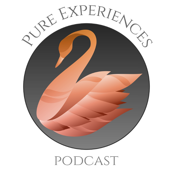 Artwork for Pure Experiences