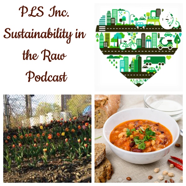 Artwork for Pure Love Sustainability Inc Sustainability in the Raw