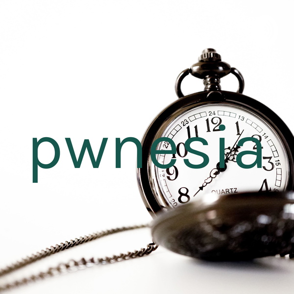 Artwork for pwnesia