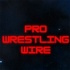 Pro Wrestle Zone