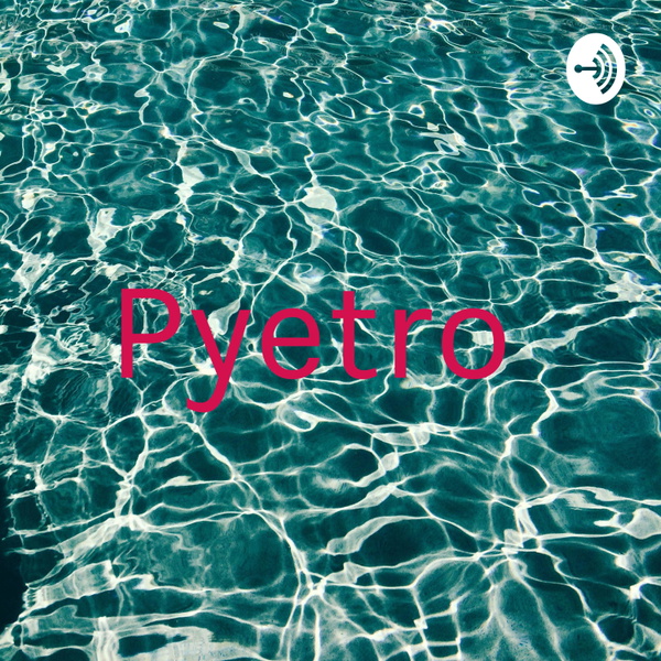 Artwork for Pyetro