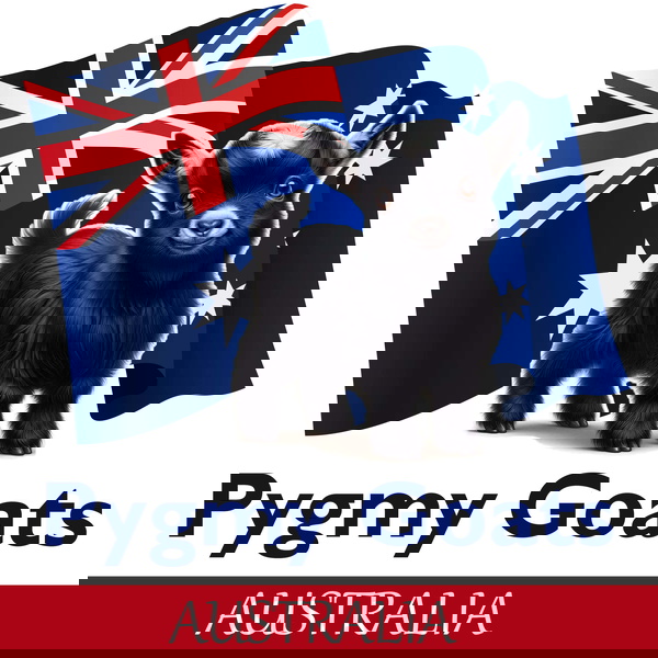 Artwork for Pygmy Goats Australia Podcast