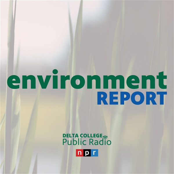 Artwork for The Environment Report