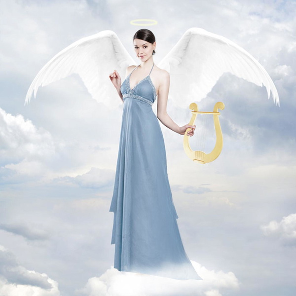 Artwork for 💐蔷薇💐