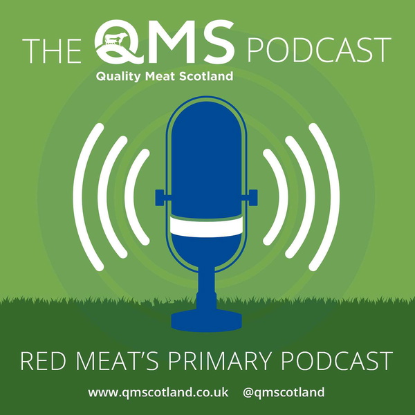 Artwork for Quality Meat Scotland Podcast