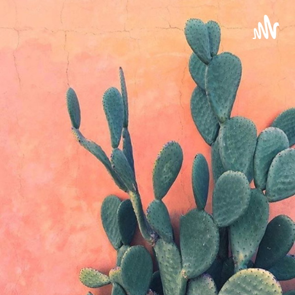 Artwork for Zona Honesta