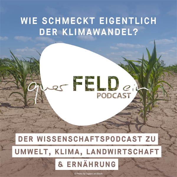Artwork for querFELDein-Podcast – Der Wissenschaftspodcast zu Umwelt, Klima, Landwirtschaft & Ernährung