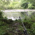 Quest Fishing Adventures Podcast - Carp Pike Barbel Chub Perch Tench Catfish Gotta Catch Them All