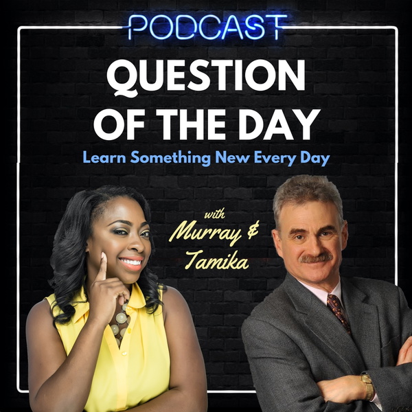 Artwork for Question of the Day