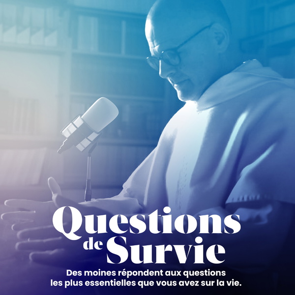 Artwork for Questions de Survie