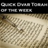 Quick Dvar Torah of the week