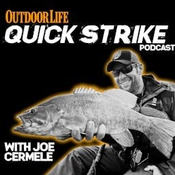 Artwork for Quick Strike