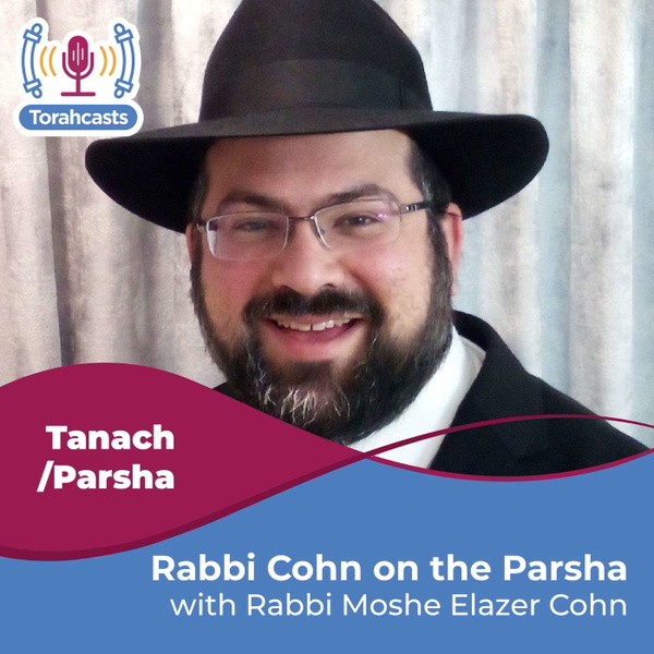 Artwork for Rabbi Cohn on the Parsha