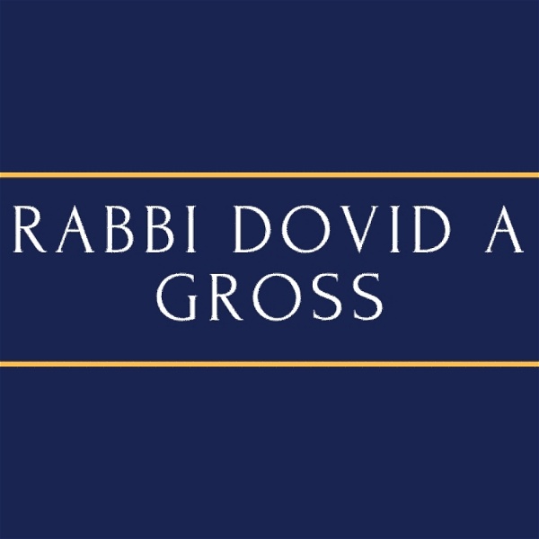 Artwork for Rabbi Dovid A. Gross