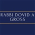 Rabbi Dovid A. Gross