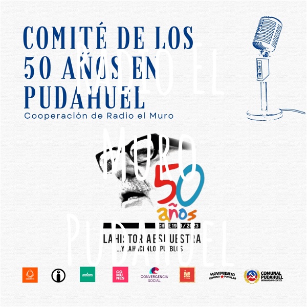 Artwork for Radio El Muro Pudahuel