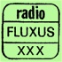 Radio Fluxus: Stories from the Fluxus Archives
