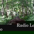 Radio Lento podcast