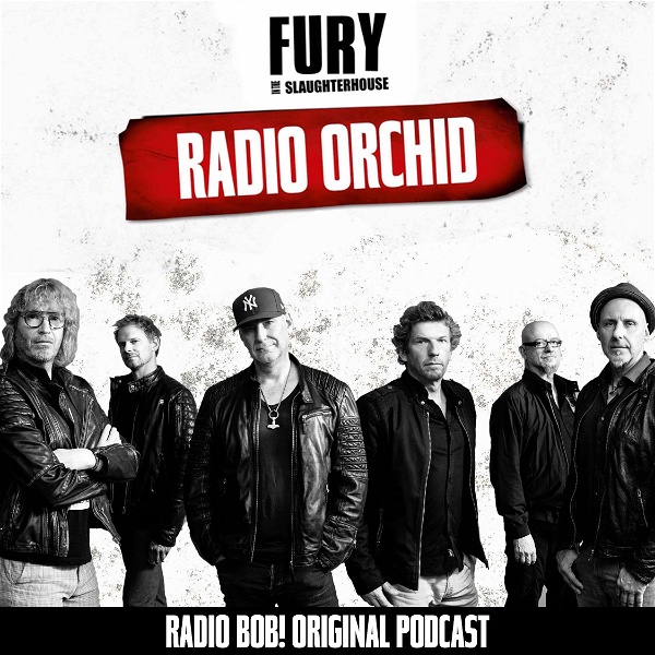 Artwork for Radio Orchid – der Fury in the Slaughterhouse Podcast bei RADIO BOB!