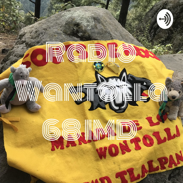 Artwork for Radio Wantolla 68 IMD