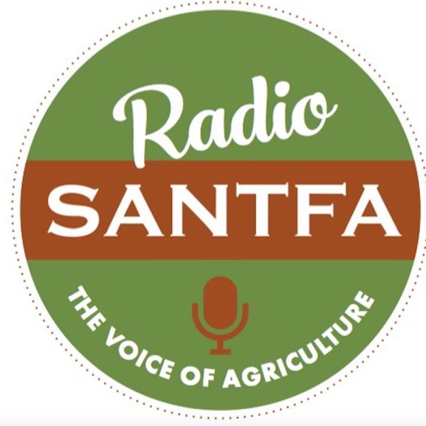 Artwork for SANTFA tracks