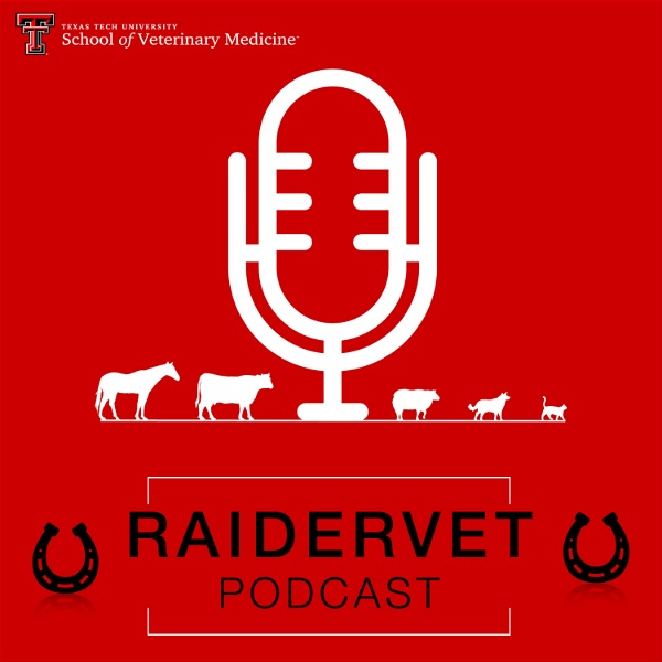 Artwork for RaiderVet Podcast
