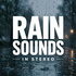 Rain Sounds in Stereo: Immersive Rainfall Ambience for Sleep, Relaxation, Meditation, and Stress Relief