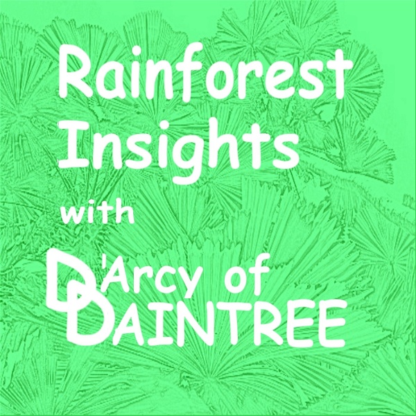 Artwork for Rainforest Insights