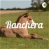 Ranchera