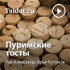 Рав Александр Арье Кутуков  — Пуримские тосты