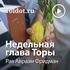 Рав Авраам Фридман — Недельная глава Торы