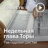 Рав Гедалия Шестак — Недельная глава Торы