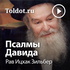 Рав Ицхак Зильбер — Псалмы Давида