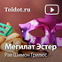 Рав Шимон Грилюс — Мегилат Эстер