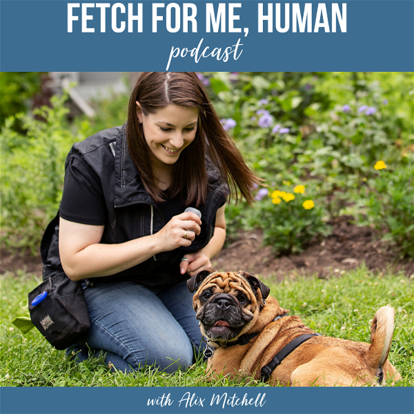 Artwork for Fetch for Me, Human