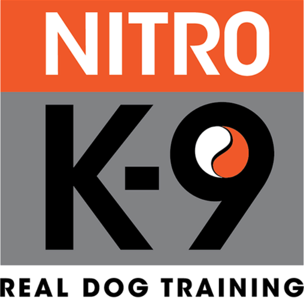 Artwork for Real Dog Training by Nitro K-9