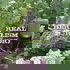 Real Herbalism Radio | Herbalism | Plant Medicine | Botany | Wild Crafting